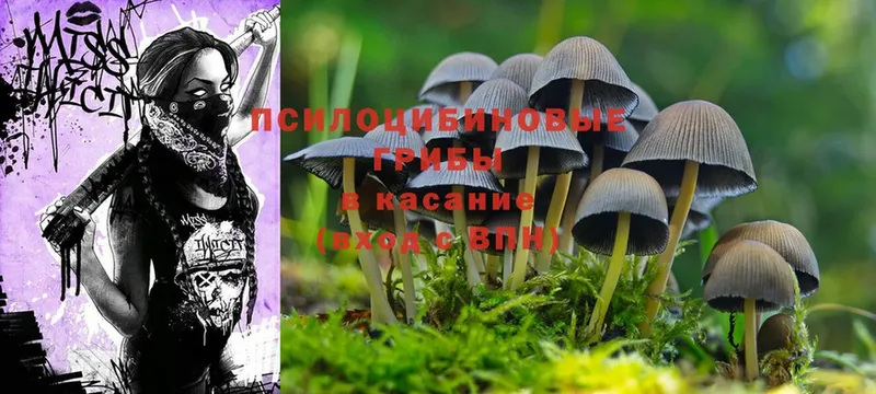 Галлюциногенные грибы Magic Shrooms  Братск 